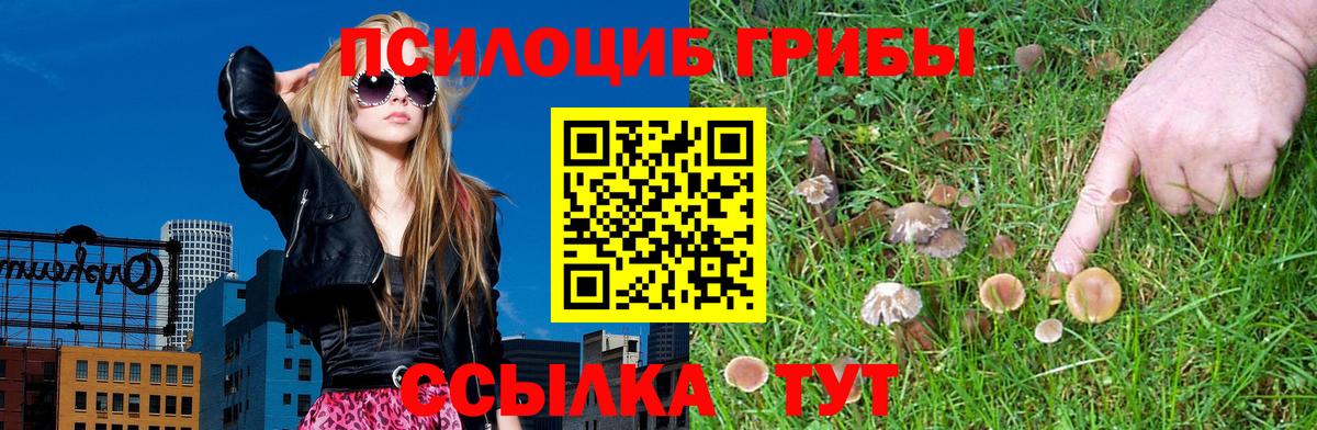 Галлюциногенные грибы MAGIC MUSHROOMS  Вход с VPN  Новотроицк  Галлюциногенные грибы мухоморы 