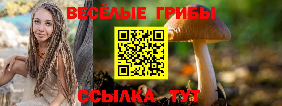 Галлюциногенные грибы MAGIC MUSHROOMS Новотроицк